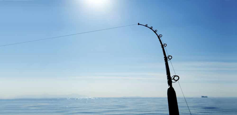 Trolling Rods