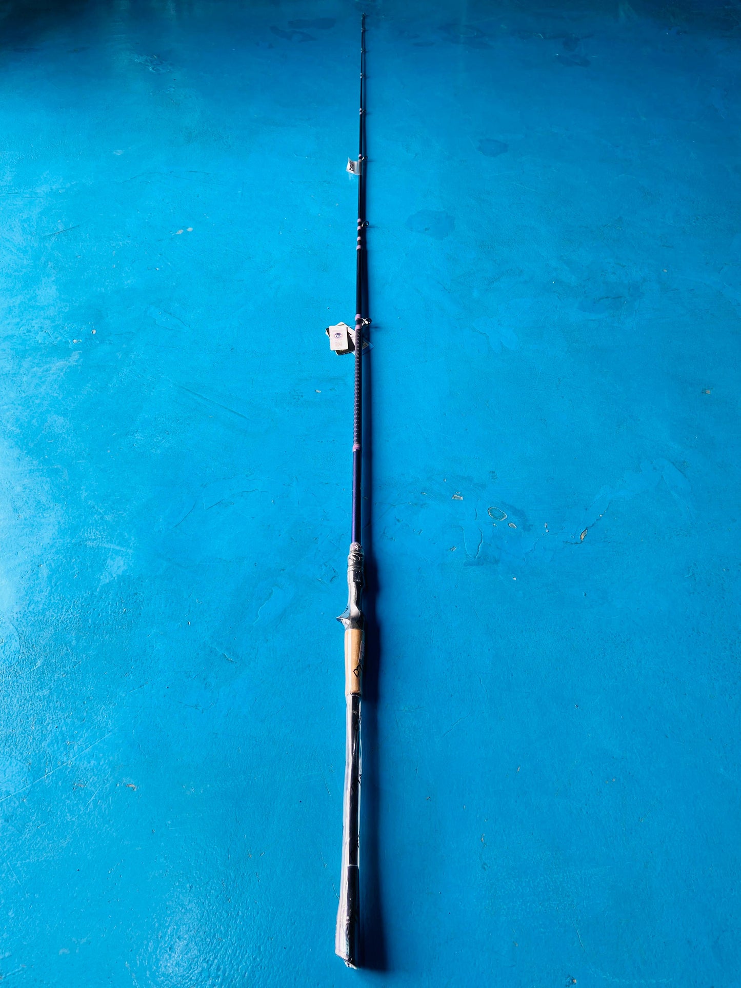 FISHINGFANS RANCY D1 BAITCASTING ROD