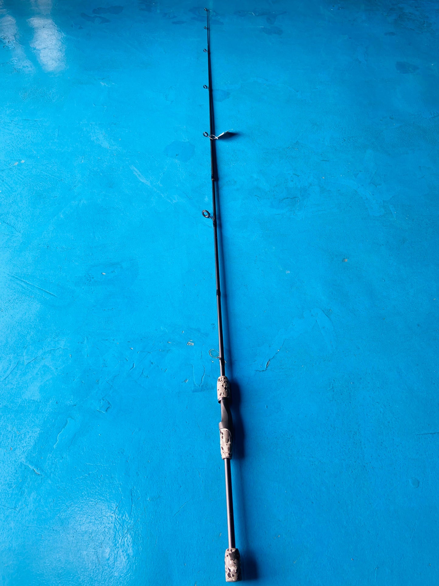 TIGER SPINNING ROD