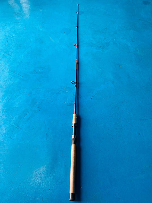 SOLID TWIN FISH  SPINNING ROD