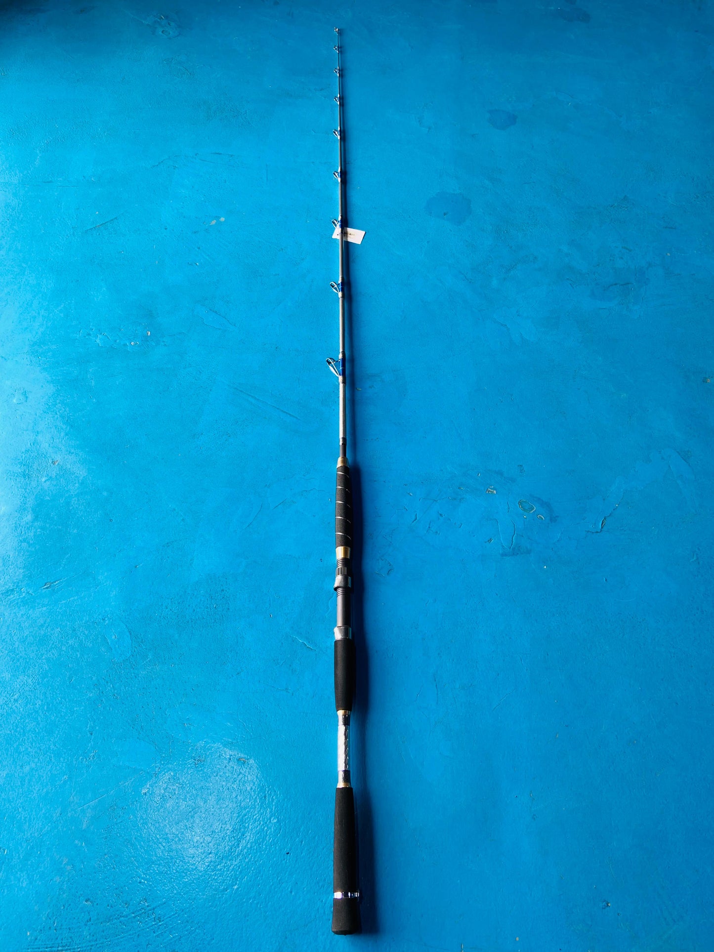 DARKNIGHT SPINNING JIGGING ROD