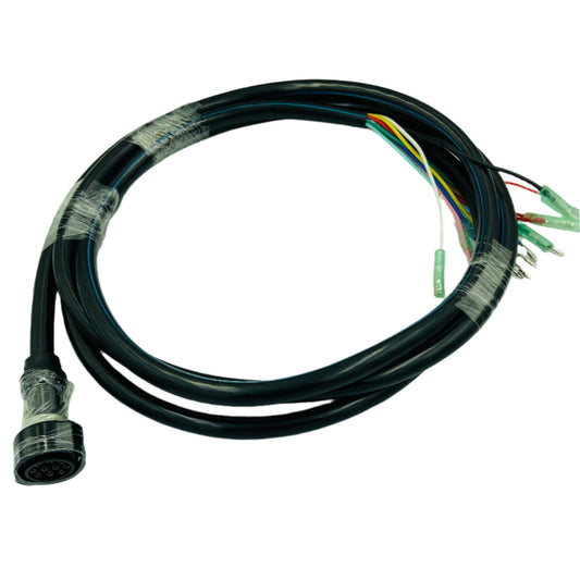 704 WIRE HARNESS 10 PIN 3M/10FT