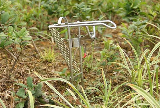 Automatic fishing rod mount spring fishing pole holder